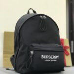 Burberry Bag
