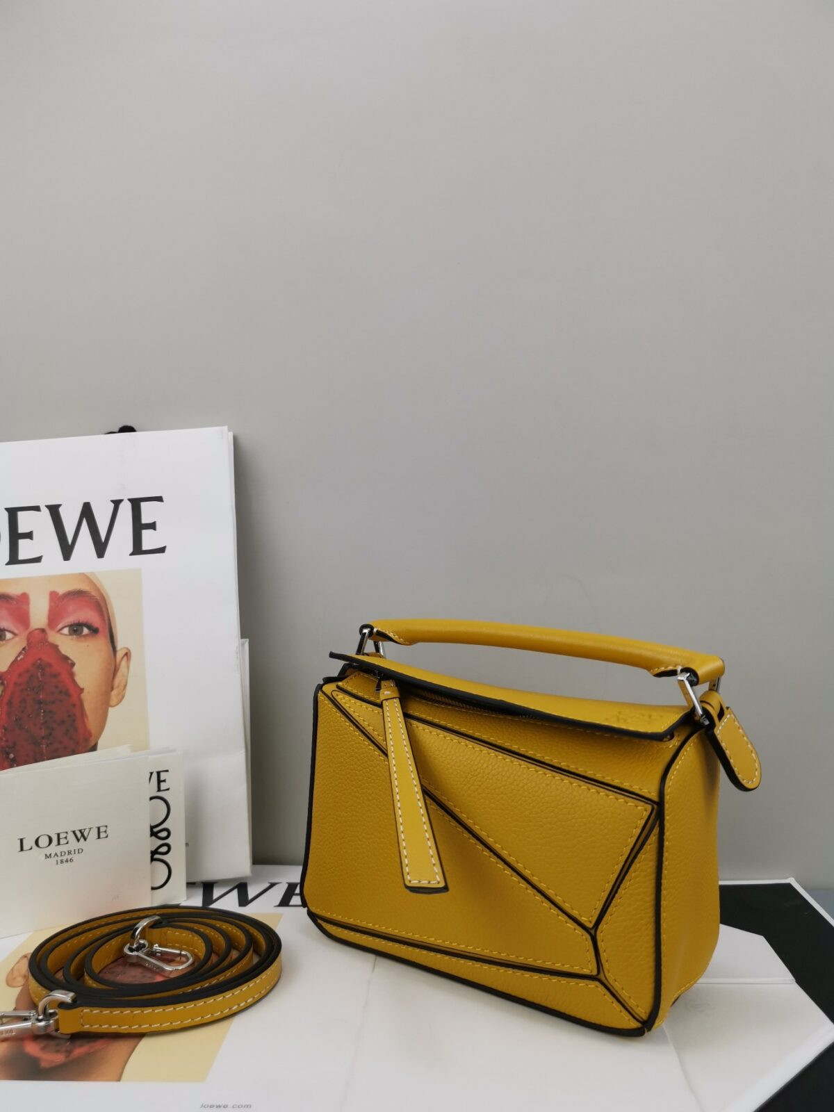 Loewe Bag - Image 1