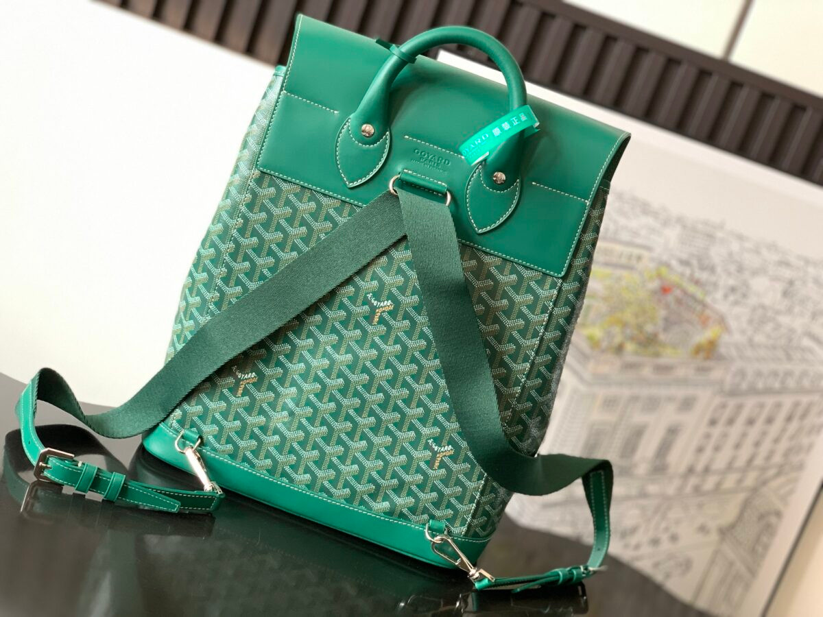 20220808_a1659927428995_7102.jpg Goyard Bag - Image 1