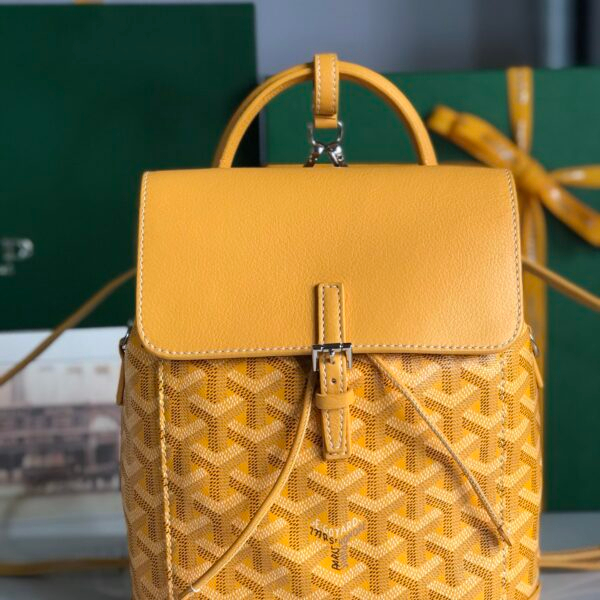 Goyard Bag
