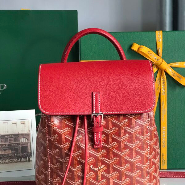 Goyard Bag