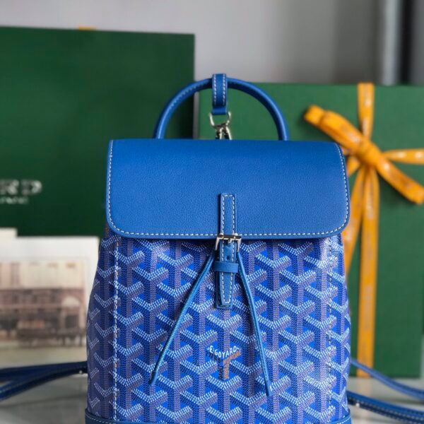 Goyard Bag