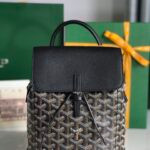 Goyard Bag