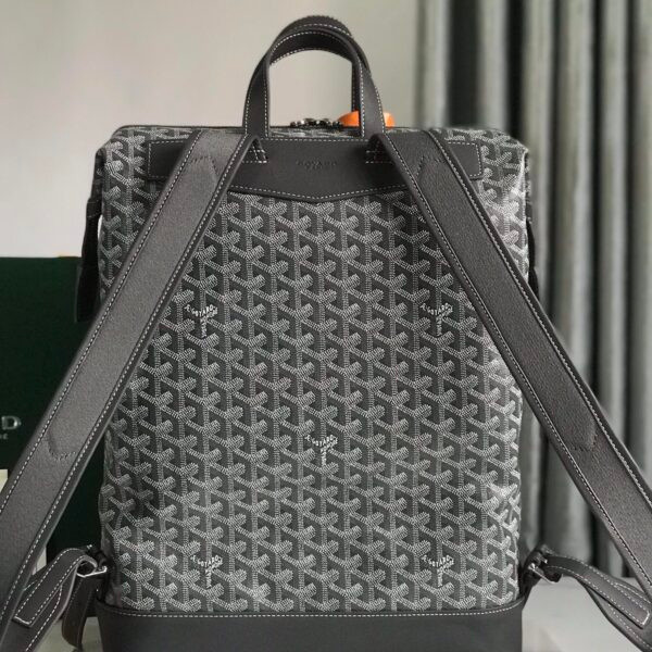 20230512 i1683878056 5560 5.jpg