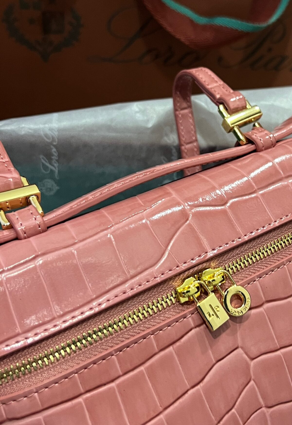 Loro Piana Bag - Image 6