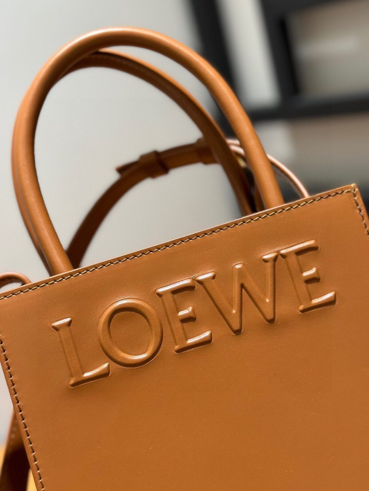 Loewe Bag - Image 5