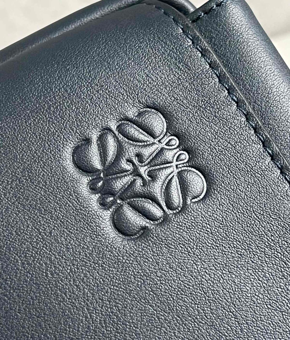 Loewe Bag - Image 7