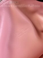 Loro Piana Bag - Image 6