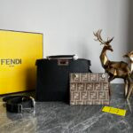 Fendi Bag