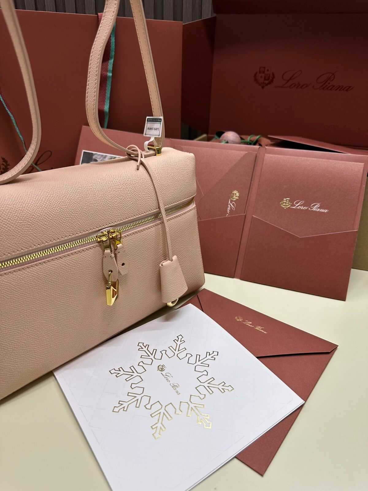 Loro Piana Bag - Image 6