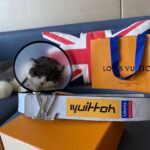 20211008 i1633667624 6155 6.jpg