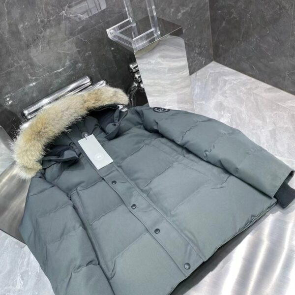 Img db44d733 20250609 windows1749499098096 179312145 2067429596.jpg