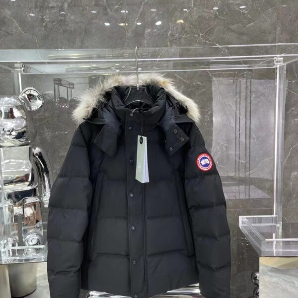 Img db44d733 20250609 windows1749499099035 1226168772718617918.jpg