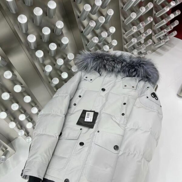 Img db44d733 20250609 windows1749499125872 2028620992 403852844.jpg