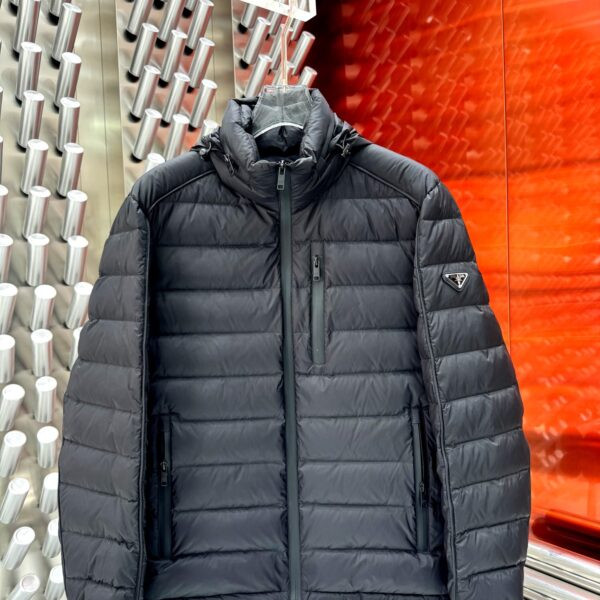 Img db44d733 20250609 windows1749502175332 3096998741143378399.jpg