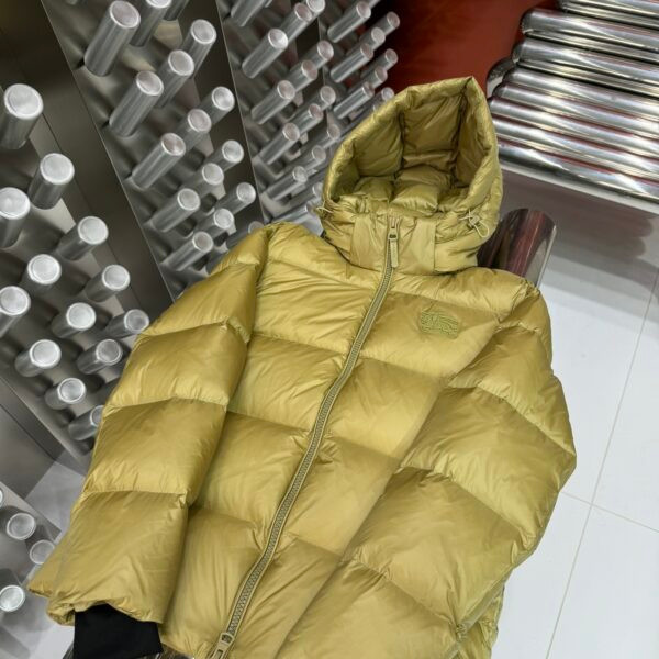 Img db44d733 20250609 windows1749509458410 1786279647 88651056.jpg