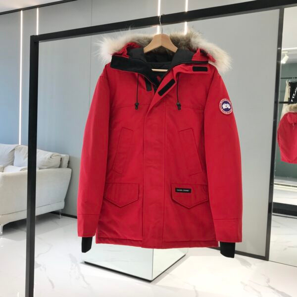 Img db44d733 20250610 windows1749519089475 15420026671852573516.jpg