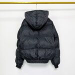 Img db44d733 20250610 windows1749522223772 1338019516 1953164091.jpg