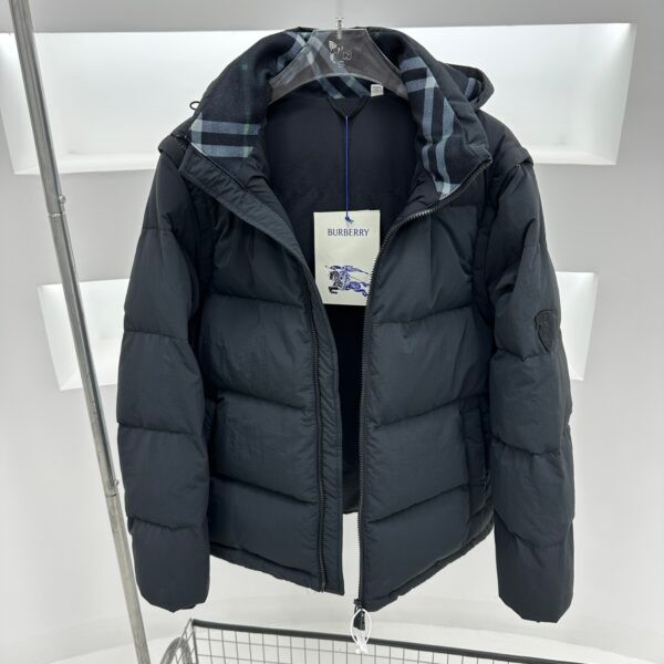 Img db44d733 20250610 windows1749522284770 1457923112 1447499766.jpg